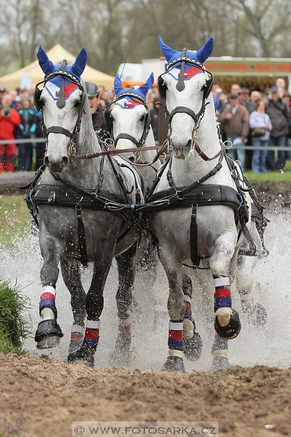 Rudolfův pohár 2016 - 4.den