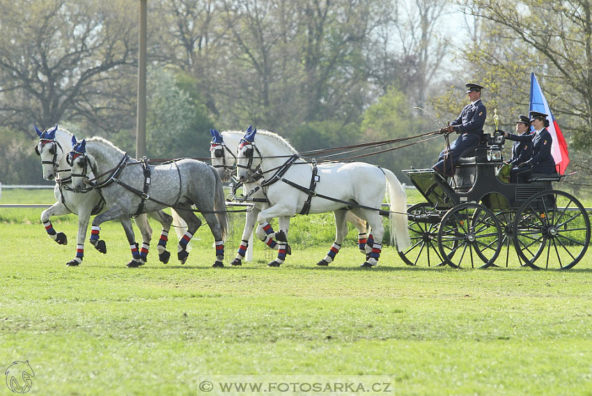 Rudolfův pohár 2016 - 5.den