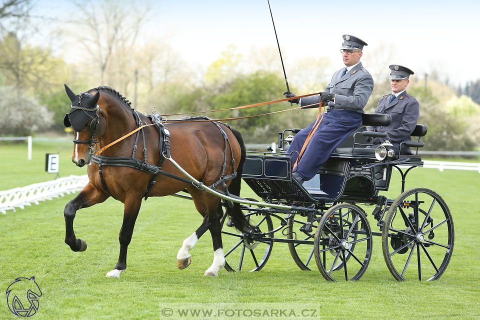 Rudolfův pohár 2017 - drezura čtvrtek