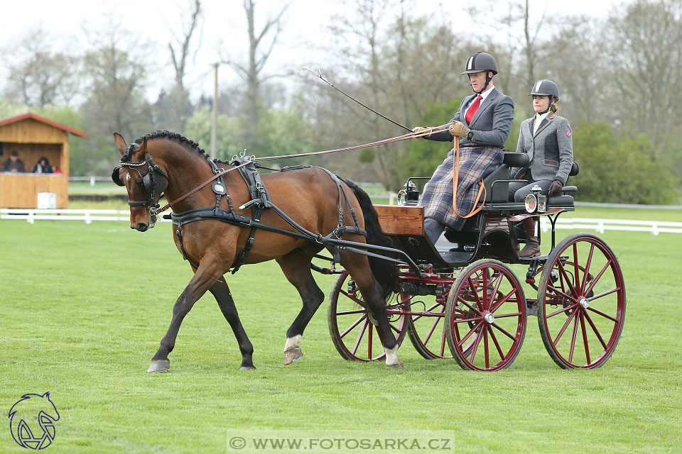 Rudolfův pohár 2017 - drezura čtvrtek