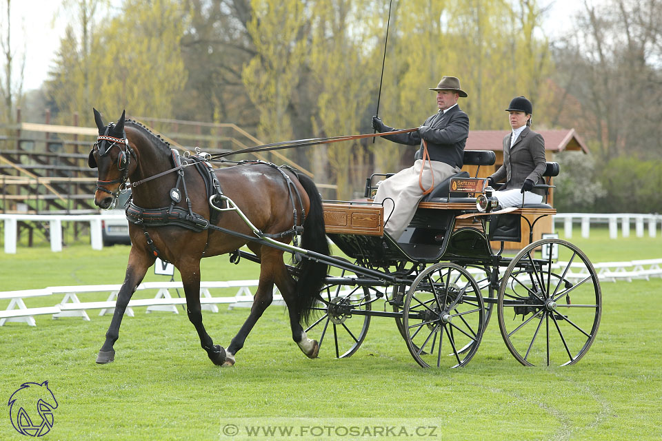 Rudolfův pohár 2017 - drezura čtvrtek