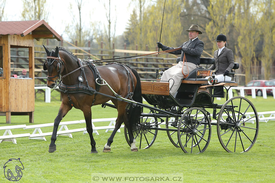 Rudolfův pohár 2017 - drezura čtvrtek