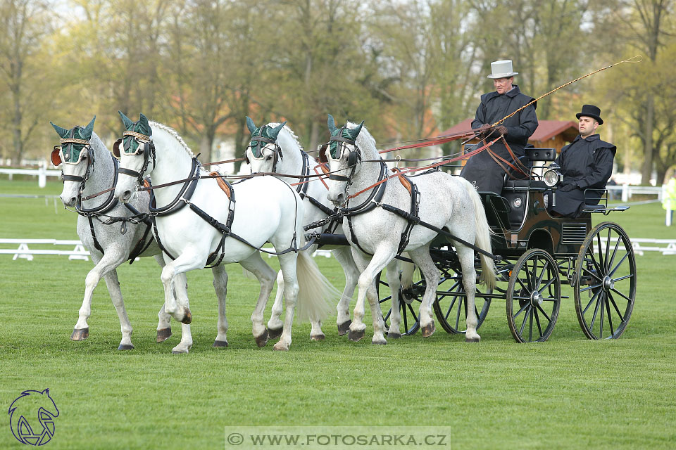 Rudolfův pohár 2017 - drezura čtvrtek