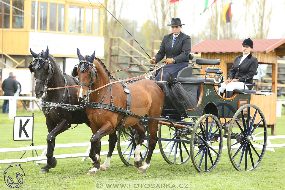 Rudolfův pohár 2017 - drezura pátek
