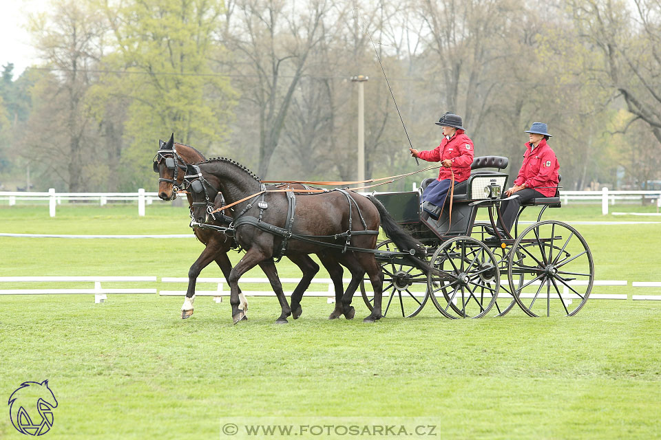 Rudolfův pohár 2017 - drezura pátek