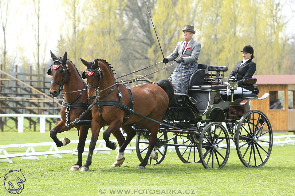 Rudolfův pohár 2017 - drezura pátek