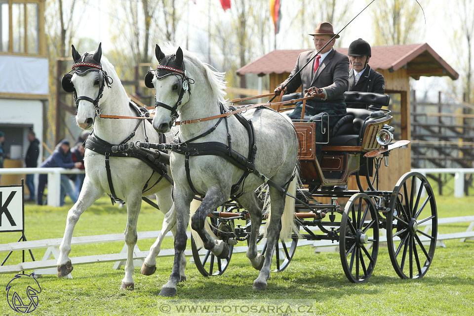 Rudolfův pohár 2017 - drezura pátek