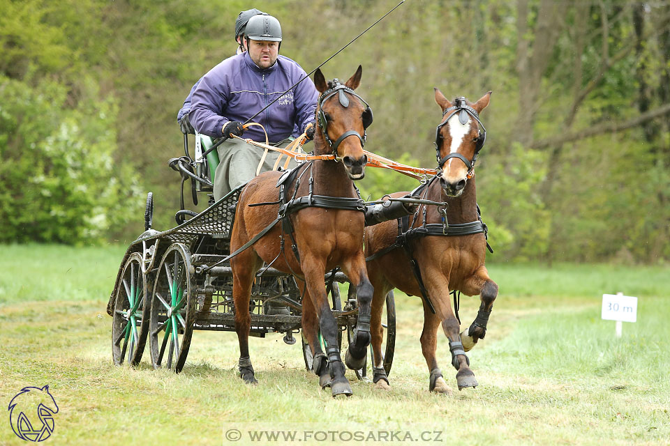 Rudolfův pohár 2017 - marathon sobota
