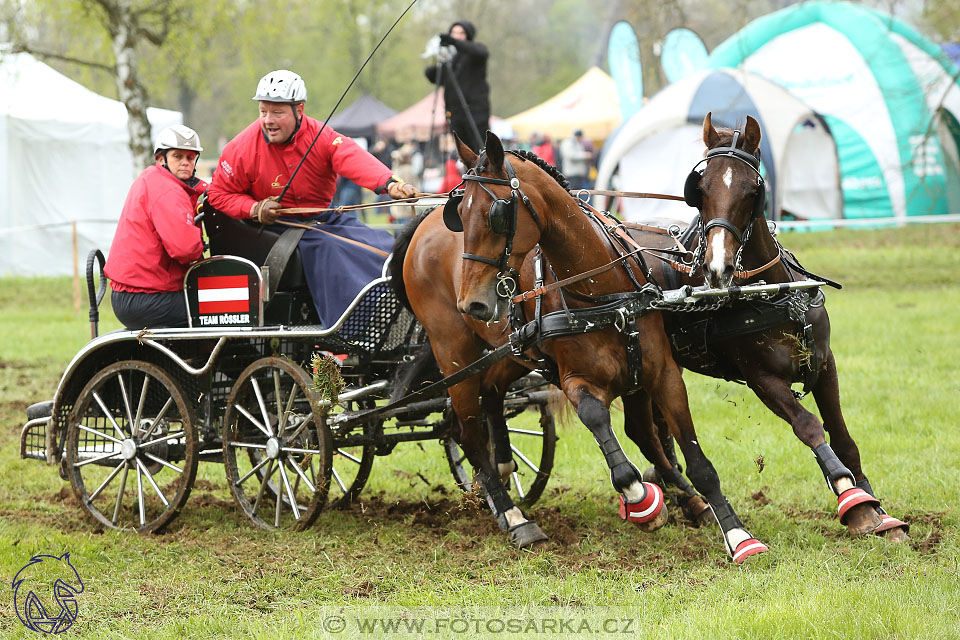 Rudolfův pohár 2017 - marathon sobota