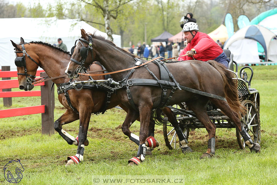 Rudolfův pohár 2017 - marathon sobota