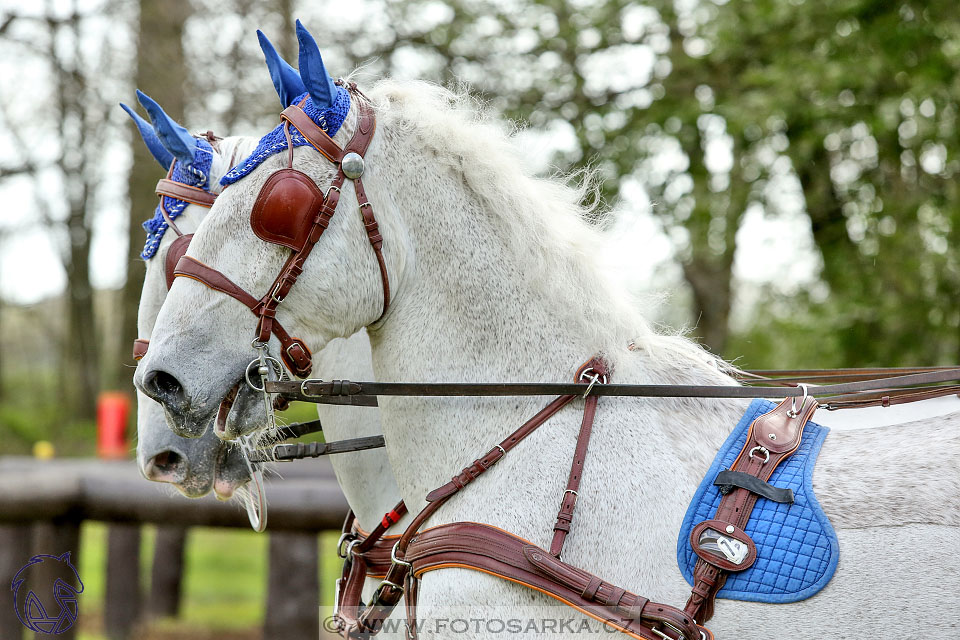 Rudolfův pohár 2017 - marathon sobota