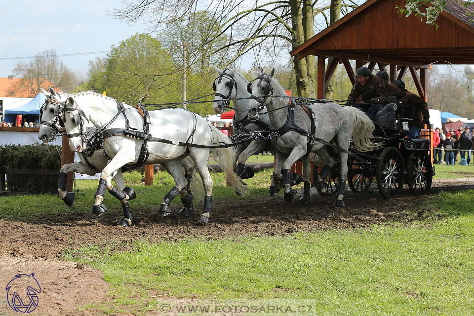 Rudolfův pohár 2017 - marathon sobota