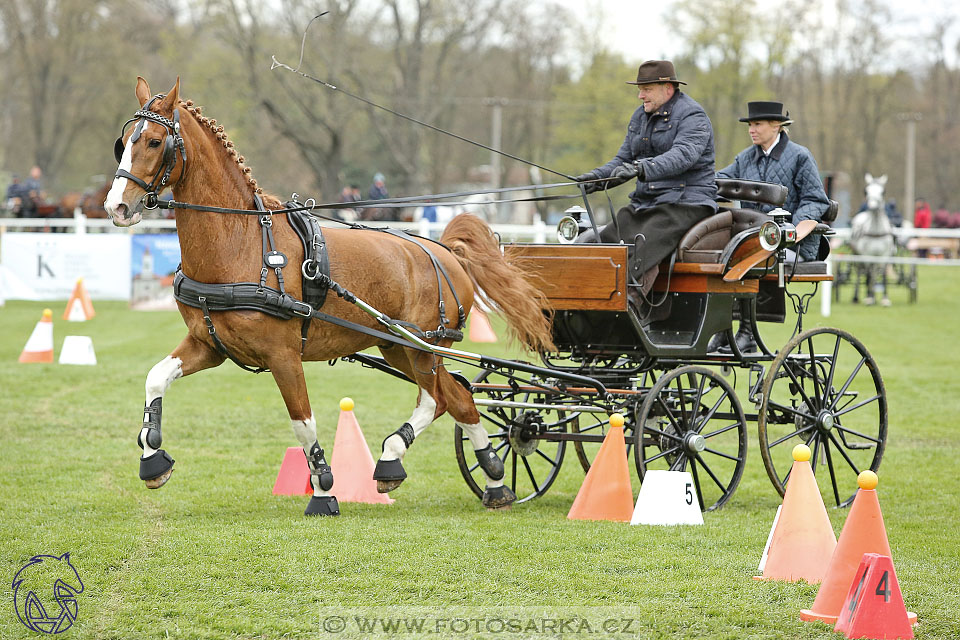 Rudolfův pohár 2017 - parkur neděle