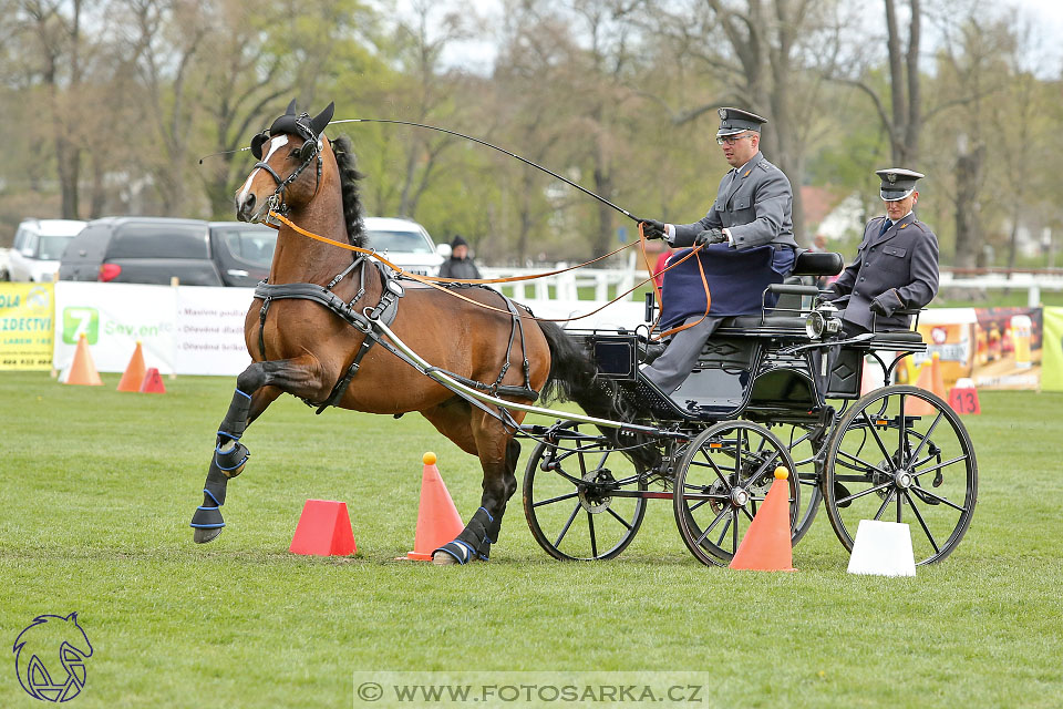 Rudolfův pohár 2017 - parkur neděle
