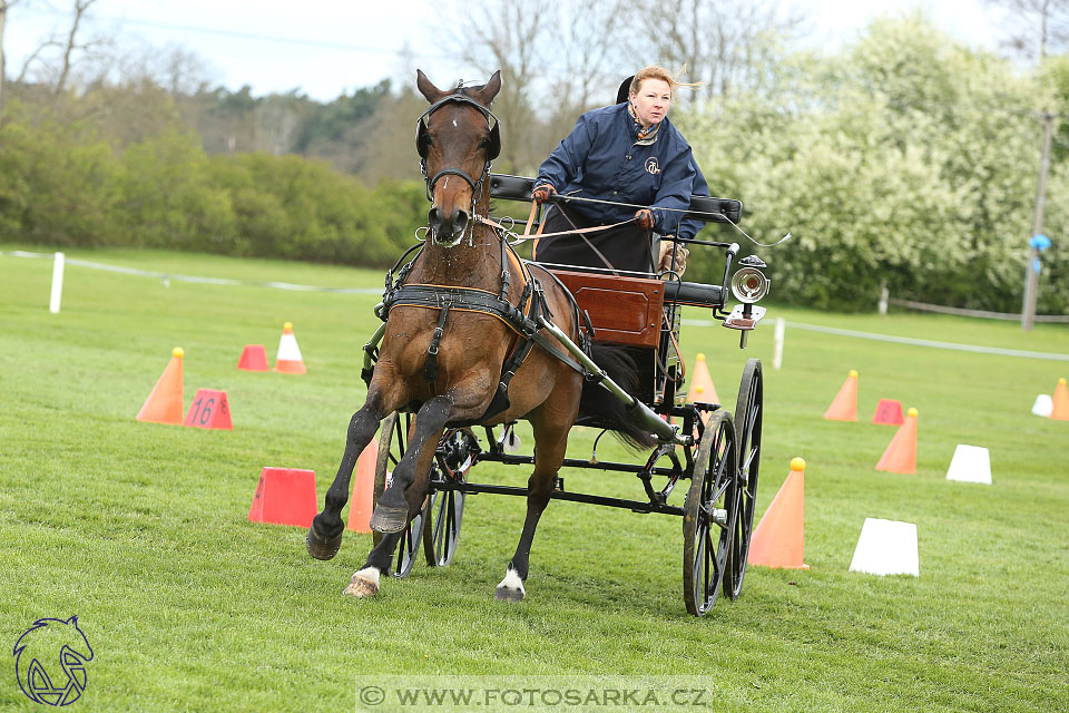 Rudolfův pohár 2017 - parkur neděle