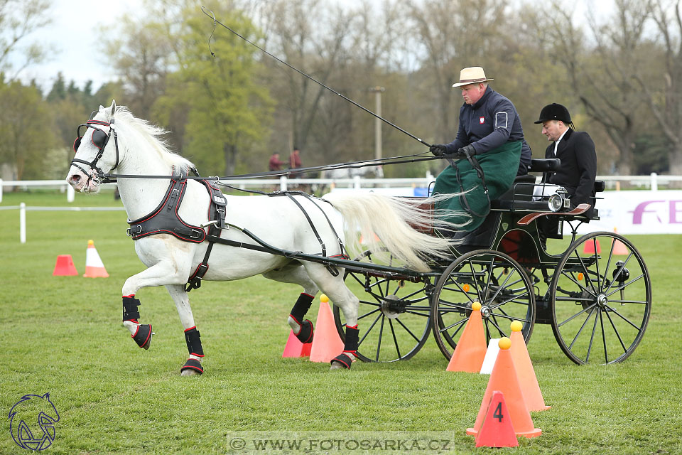 Rudolfův pohár 2017 - parkur neděle
