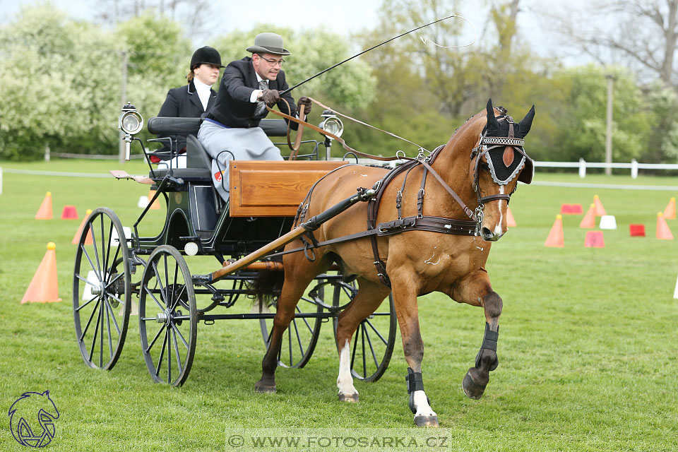 Rudolfův pohár 2017 - parkur neděle