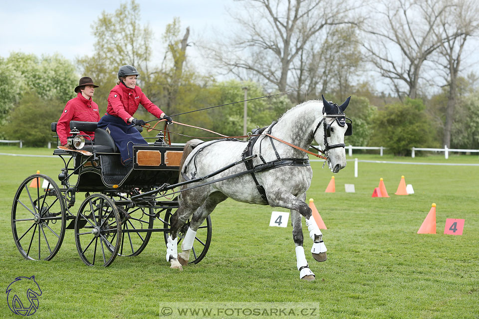 Rudolfův pohár 2017 - parkur neděle