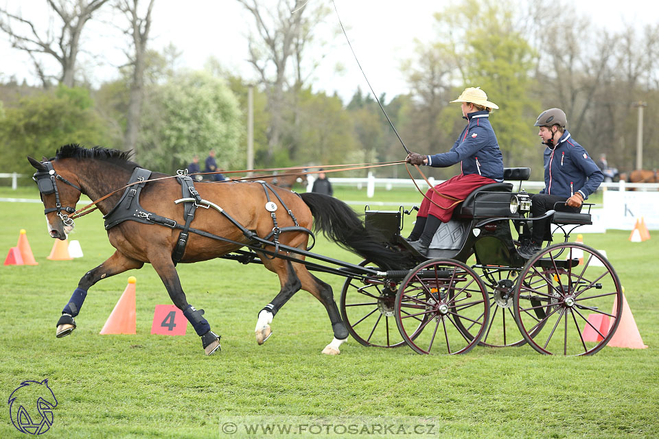 Rudolfův pohár 2017 - parkur neděle