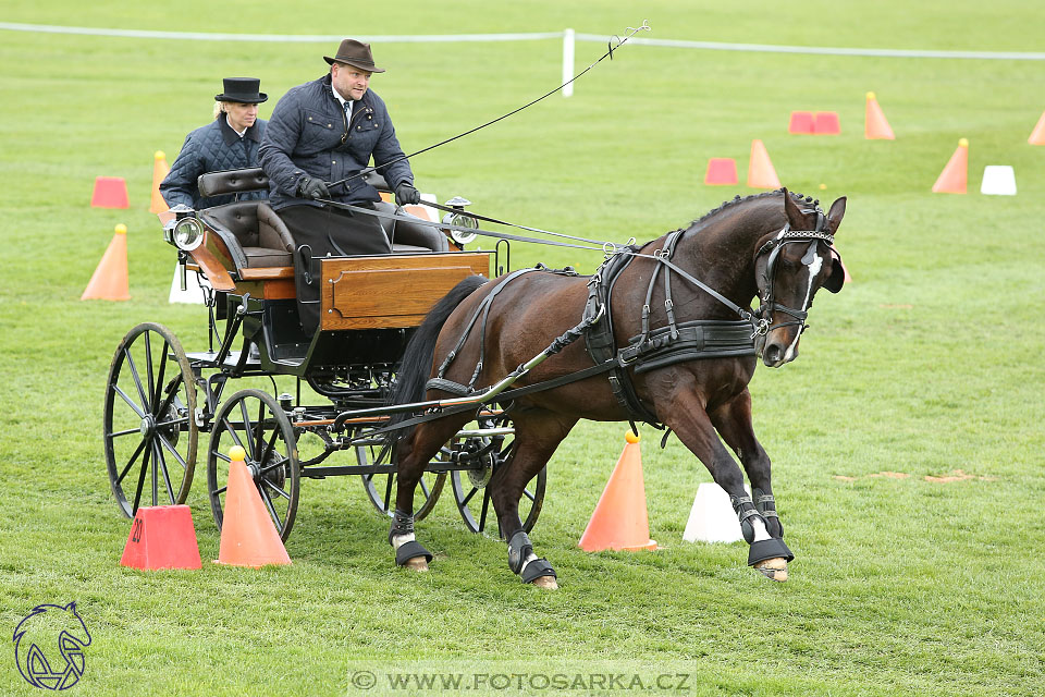 Rudolfův pohár 2017 - parkur neděle