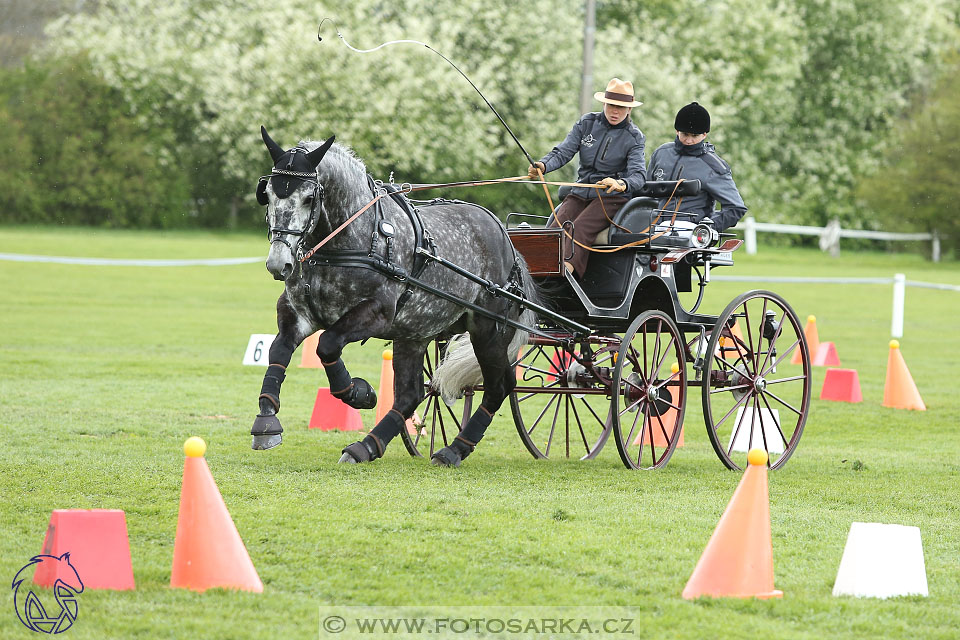 Rudolfův pohár 2017 - parkur neděle