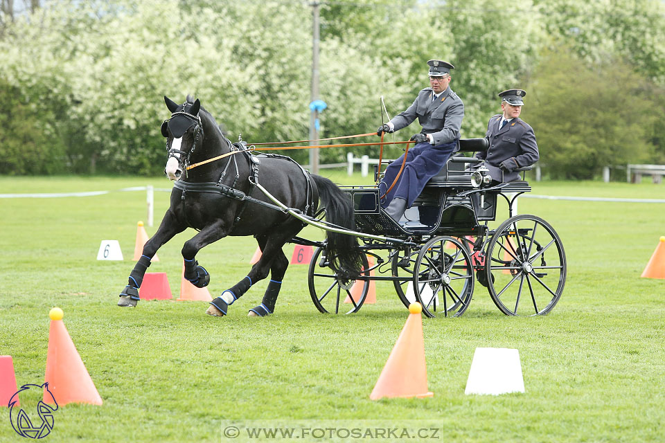 Rudolfův pohár 2017 - parkur neděle