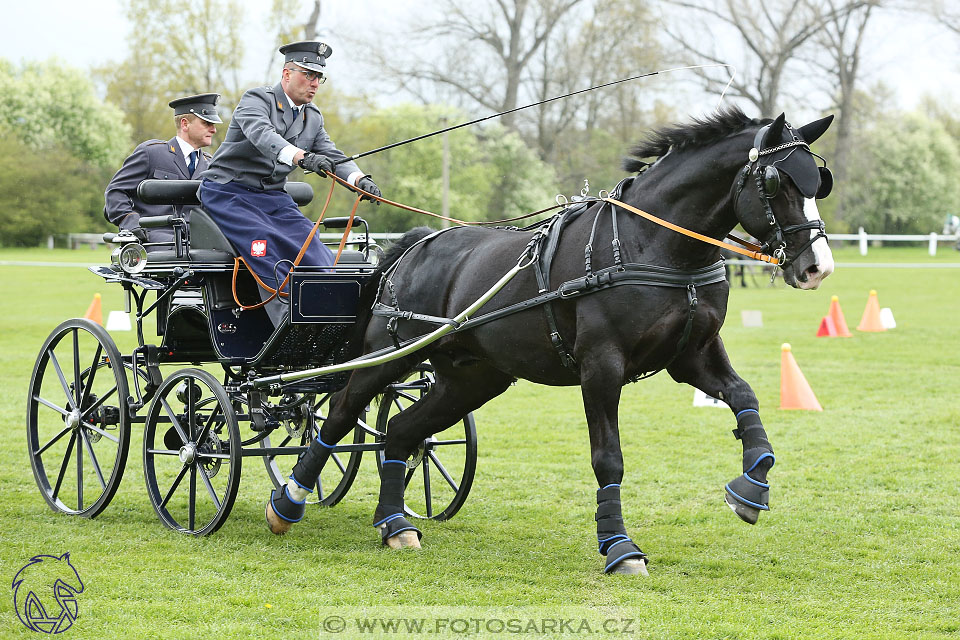 Rudolfův pohár 2017 - parkur neděle