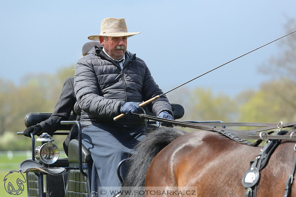 Rudolfův pohár 2017 - parkur neděle