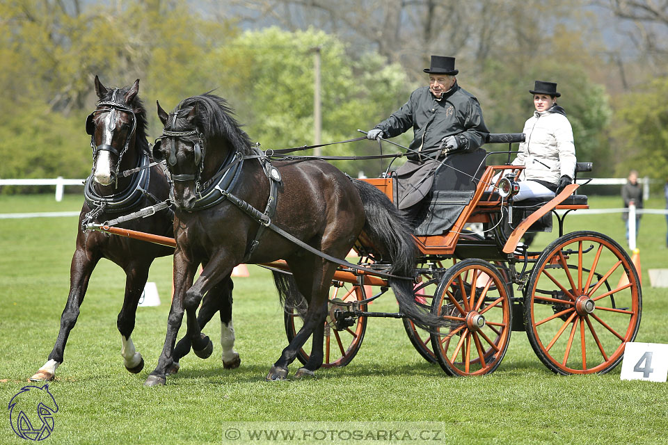 Rudolfův pohár 2017 - parkur neděle