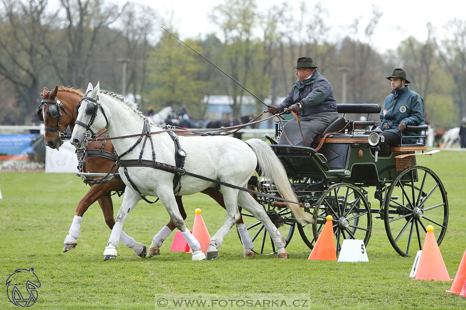 Rudolfův pohár 2017 - parkur neděle