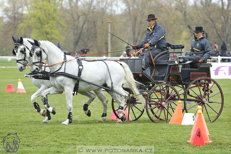 Rudolfův pohár 2017 - parkur neděle