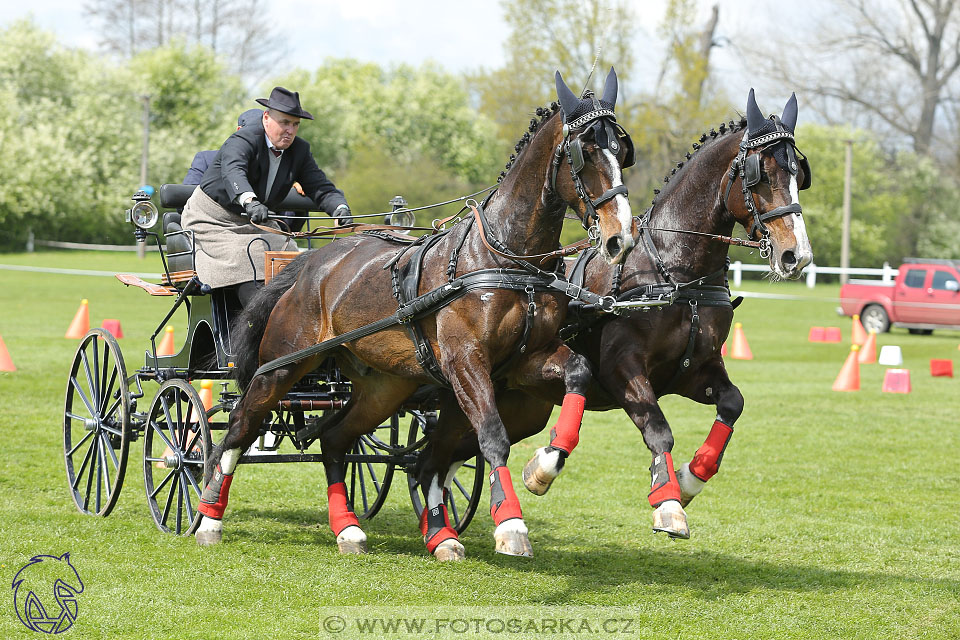 Rudolfův pohár 2017 - parkur neděle