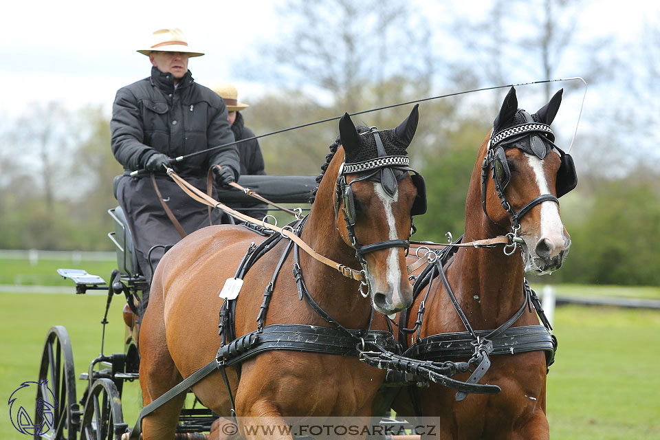 Rudolfův pohár 2017 - parkur neděle