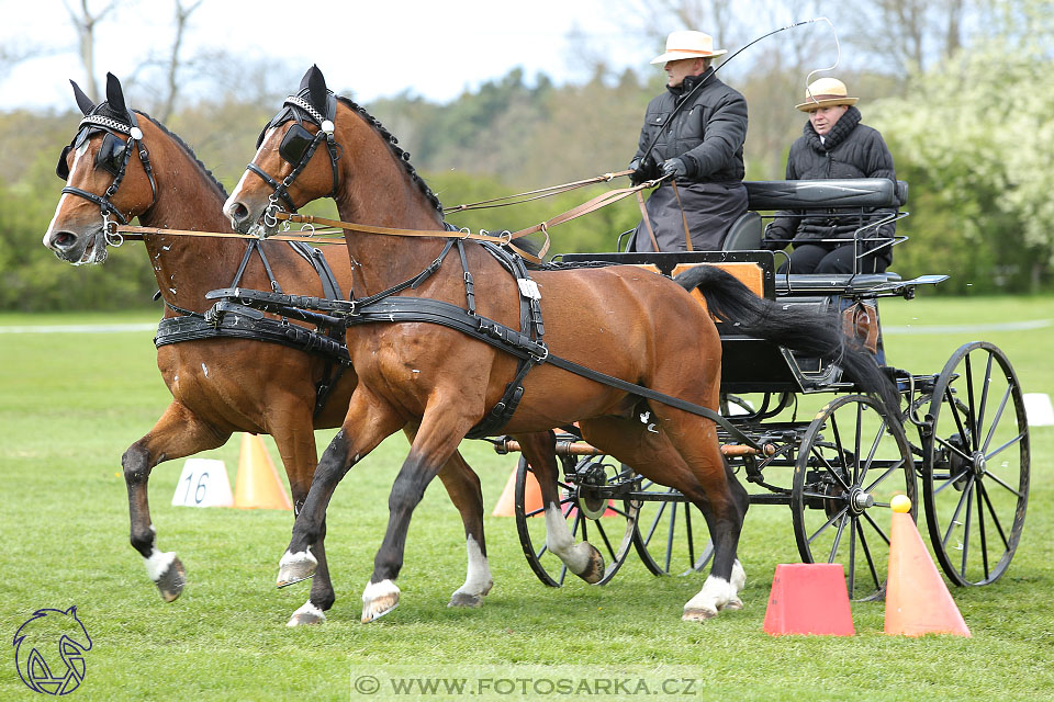 Rudolfův pohár 2017 - parkur neděle