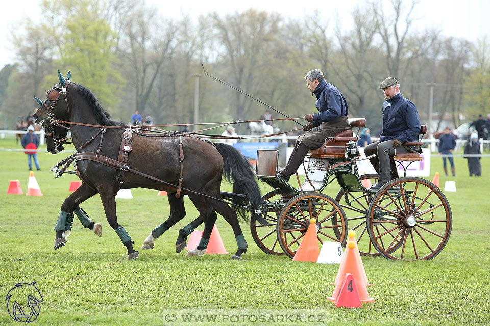 Rudolfův pohár 2017 - parkur neděle