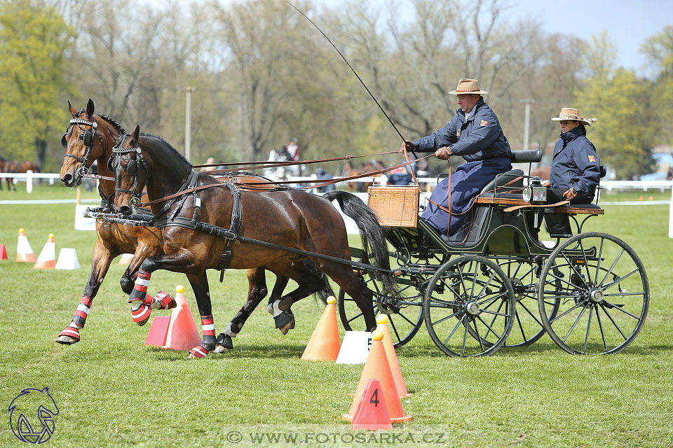 Rudolfův pohár 2017 - parkur neděle