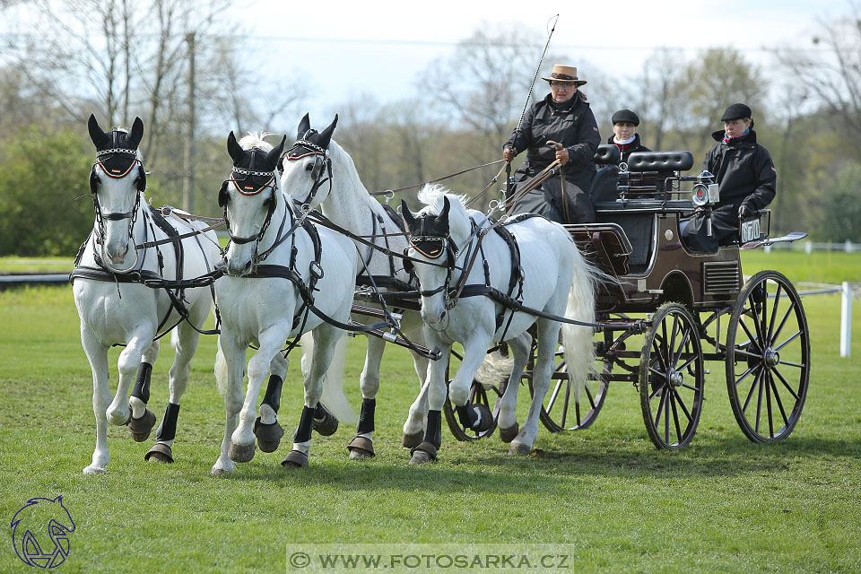 Rudolfův pohár 2017 - parkur neděle