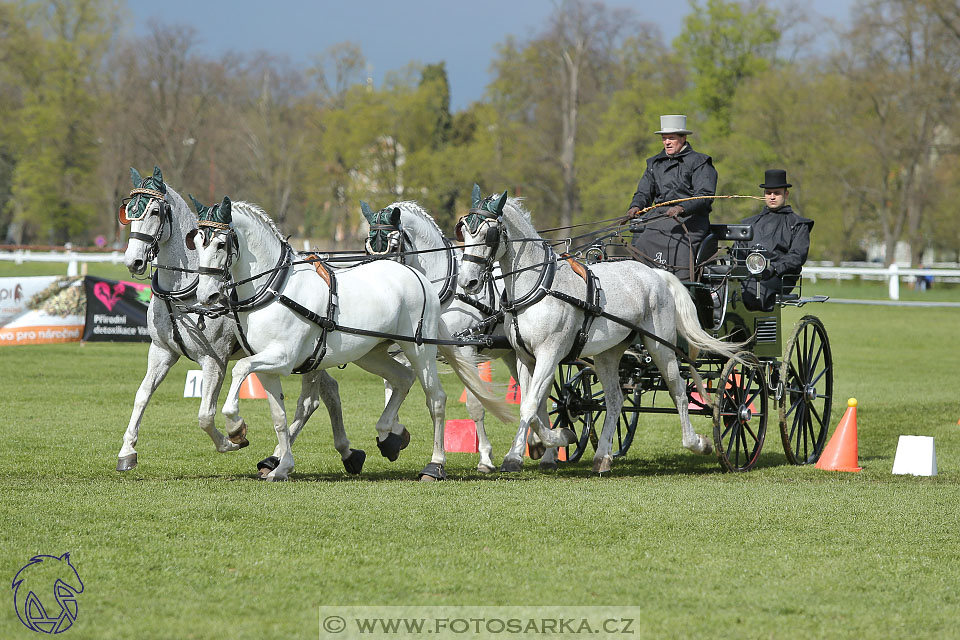 Rudolfův pohár 2017 - parkur neděle