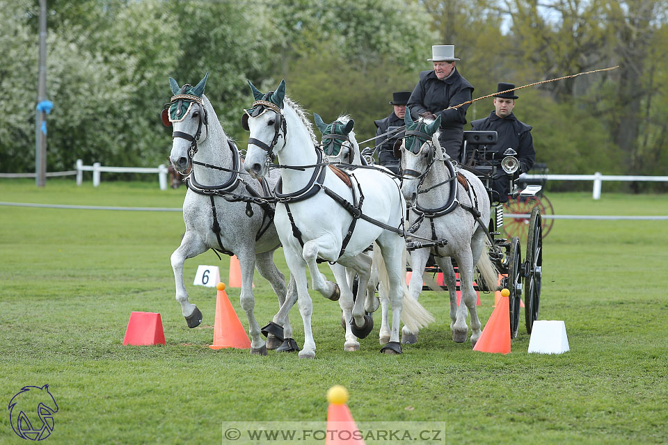 Rudolfův pohár 2017 - parkur neděle