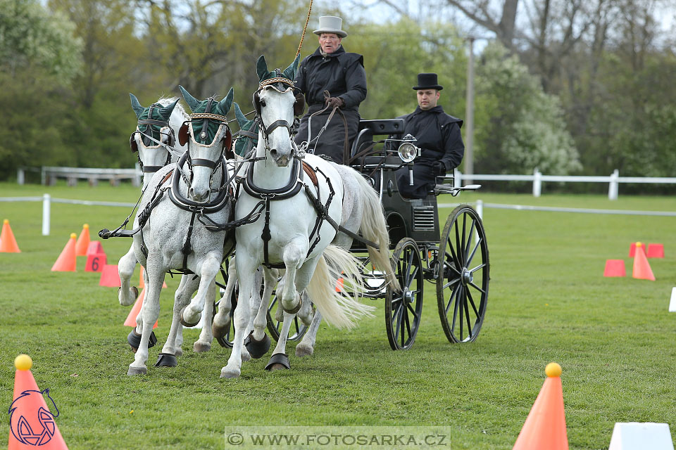 Rudolfův pohár 2017 - parkur neděle