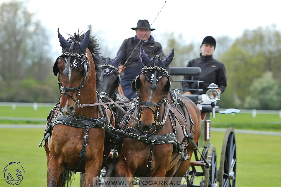 Rudolfův pohár 2017 - parkur neděle