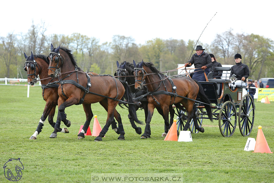Rudolfův pohár 2017 - parkur neděle