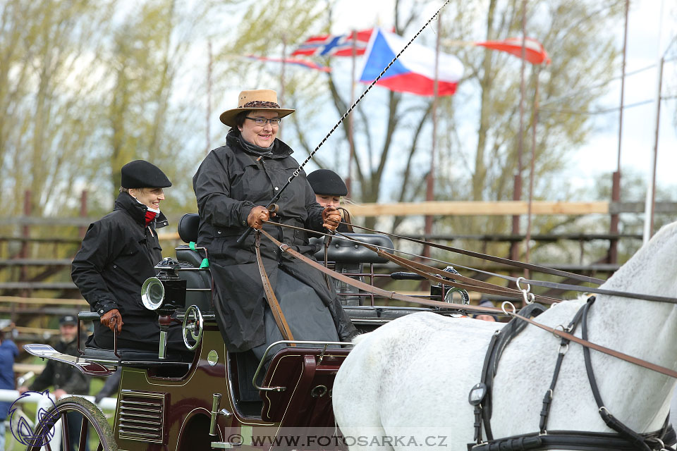 Rudolfův pohár 2017 - parkur neděle