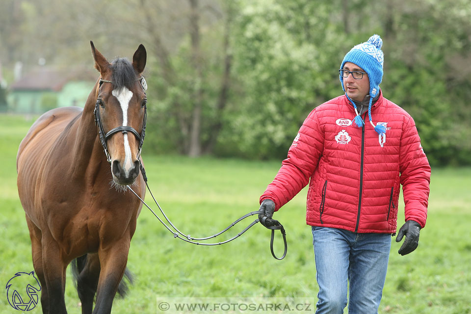 Rudolfův pohár 2017 - veterinární kontrola