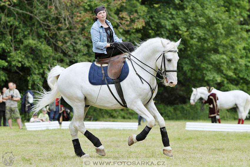 SLATIŇANSKÉ POZASTAVENÍ