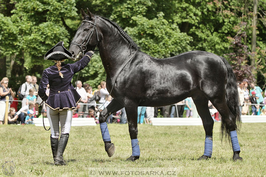 SLATIŇANSKÉ POZASTAVENÍ