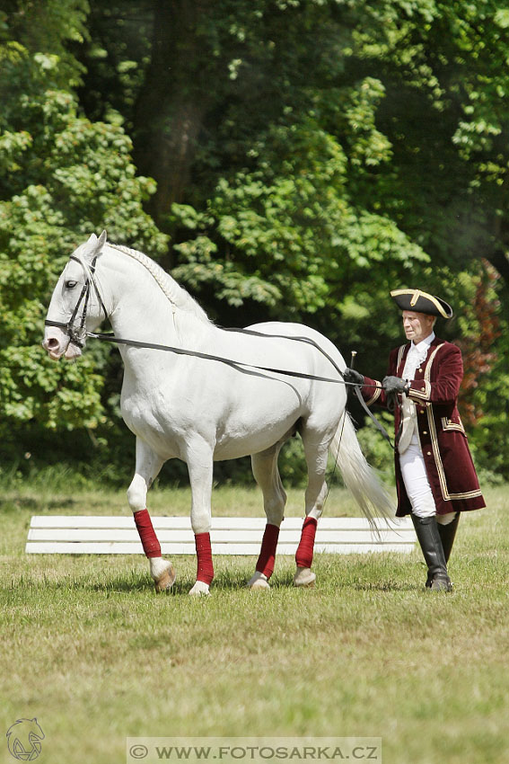 SLATIŇANSKÉ POZASTAVENÍ