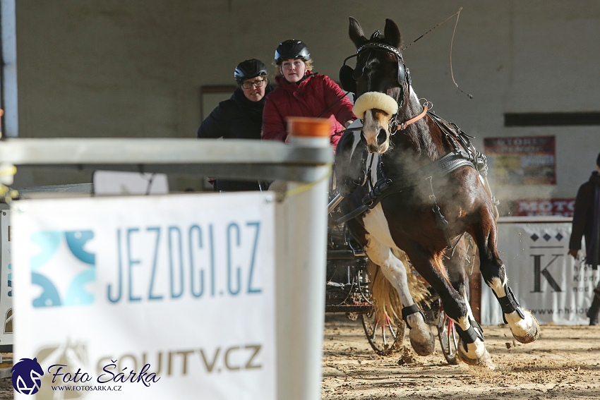 Slatiňany 2019 - spřežení