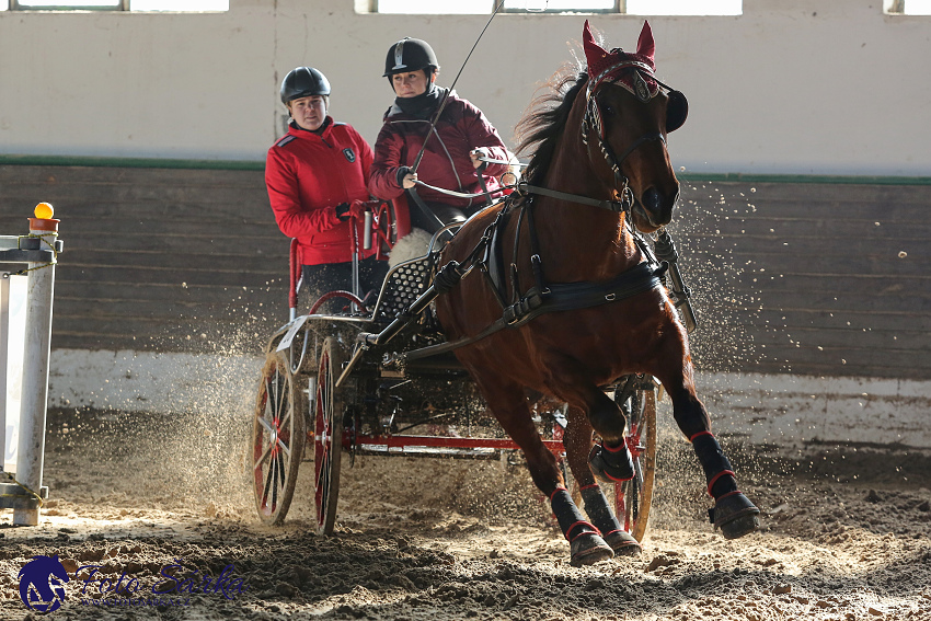 Slatiňany 2019 - spřežení