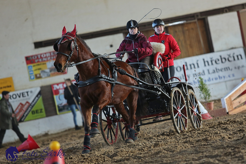 Slatiňany 2019 - spřežení